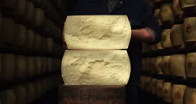 Parmigiano Reggiano: Italian Excellence